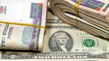 الدولار يعود للارتفاع في مصر… مستوى قياسي يقترب مجدداً
