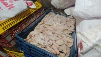 سعر البانيه