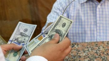 استقرار سعر الدولار مقابل الجنيه في منتصف تعاملات اليوم السبت 25 أبريل 2026