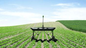 أزمات الملاحة والمناخ تشعل أسعار المحاصيل الغذائية عالمياً