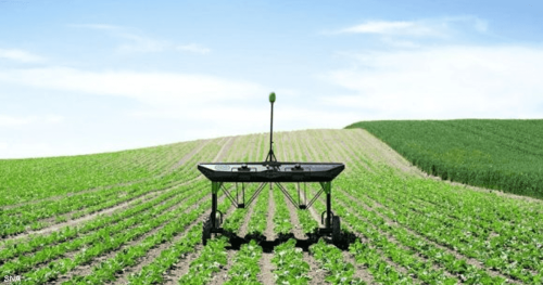 أزمات الملاحة والمناخ تشعل أسعار المحاصيل الغذائية عالمياً