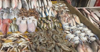 أسعار الأسماك بأسواق مطروح اليوم الخميس 30-4-2026.. الدنيس بـ300 جنيه