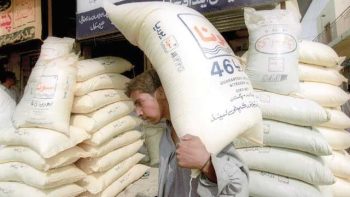 أسعار الأسمدة المصرية تحلق عالميا بعد وصول الطن لـ40 ألف جنيه -جريدة المال