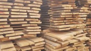 أسعار الخشب اليوم الإثنين 27-4-2026 في السوق المصرية.. تبدأ من 548 جنيهًا -جريدة المال