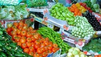 أسعار الخضراوات اليوم الأربعاء 29-4-2026 بأسواق مطروح.. الطماطم بـ 25 جنيها