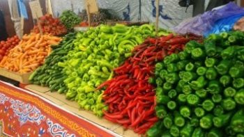 أسعار الخضراوات بالمحلات والأسواق بالأقصر.. اليوم الخميس 30 أبريل 2026