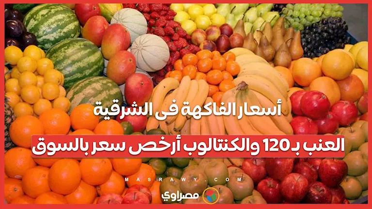 أسعار الفاكهة فى الشرقية.. العنب بـ 120 والكنتالوب أرخص سعر بالسوق