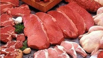 أسعار اللحوم المجمدة والمفروم البرازيلي اليوم الخميس 23-4-2026 -جريدة المال