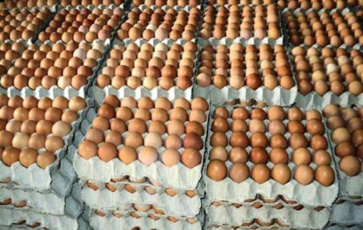 ارتفاع طفيف في أسعار البيض الأحمر واستقرار الأبيض والبلدي اليوم الخميس
