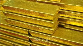 افتتاح جلسة التداول في 23 أبريل: انخفض سعر الذهب في بورصة SJC بمقدار 800,000 دونغ فيتنامي للأونصة، أي بزيادة قدرها 19 مليون دونغ فيتنامي عن أسعار الذهب العالمية.