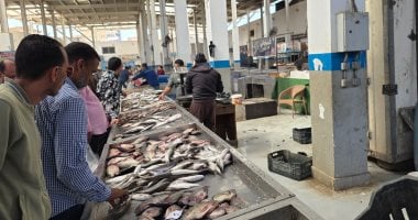 البلطى بكام؟.. أسعار الأسماك بكفر الشيخ الخميس 30 أبريل 2026
