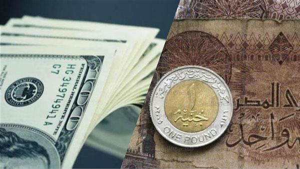 الدولار بأعلى سعر للشراء في مصرف أبو ظبي الإسلامي