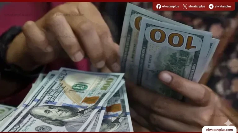 الدولار يستقر قرب 53 جنيها وسط ترقب السوق