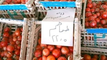 الطماطم بـ 22,5 جنيه.. أسعار الخضراوات والفاكهة بالوادى الجديد اليوم السبت