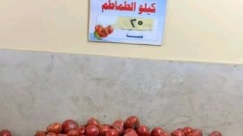 الطماطم بـ 25 جنيها.. أسعار الخضراوات والفواكه بالغربية السبت 18 أبريل 2026