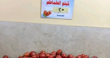 الطماطم بـ 25 جنيها.. أسعار الخضراوات والفواكه بالغربية السبت 18 أبريل 2026