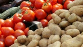 الطماطم بـ35جنيها.. أسعار الخضروات والفاكهة بكفر الشيخ الخميس 30 أبريل 2026