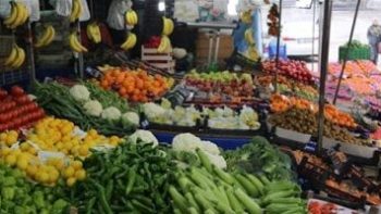 الطماطم بكام؟.. أسعار الخضراوات والفاكهة بكفر الشيخ الأحد 19 إبريل 2026