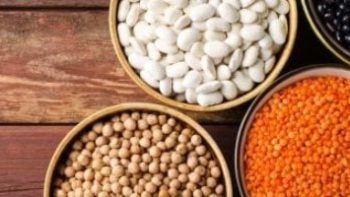 الفول بكام؟.. أسعار البقوليات بكفر الشيخ الأربعاء 29 أبريل 2026