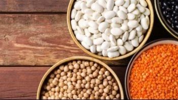 الفول بكام؟… أسعار البقوليات بكفر الشيخ الخميس 30 أبريل 2026