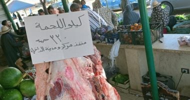 اللحمة البلدى بـ330 جنيه.. اعرف أسعار اللحوم والدواجن بالوادى الجديد
