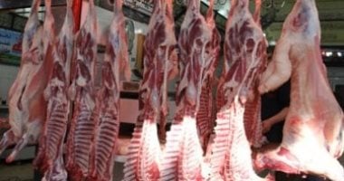 اللحمة بـ260 جنيها.. أسعار اللحوم بكفر الشيخ السبت 25 أبريل 2026