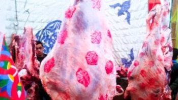 اللحمة بكام؟.. أسعار اللحوم بكفر الشيخ الأربعاء 29 أبريل 2026