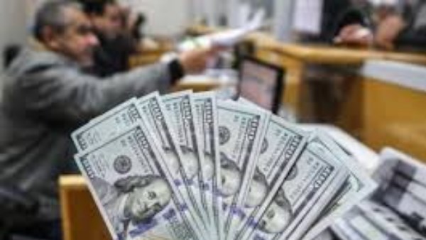بعائد 4.90%.. تفاصيل الشهادة الذهبية الدولارية من البنك الأهلي 2026