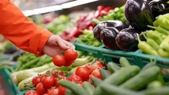 بين الحرب والتضخم.. حكايات المصريين مع الغلاء اليومي