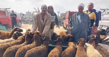 تبدأ من 5000 جنيه.. أسعار الأضاحى داخل سوق المواشى بدمياط