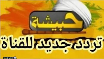 قناة حبيشة للأفلام الأجنبية تعود للبث عبر النايل سات عام 2026