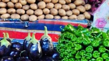 سعر الخضراوات اليوم الأربعاء 29 أبريل 2026 في الإسكندرية