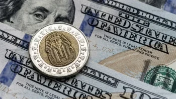 ثبات سعر صرف الدولار مقابل الجنيه المصري في تعاملات اليوم منصة التداولات الرسمية