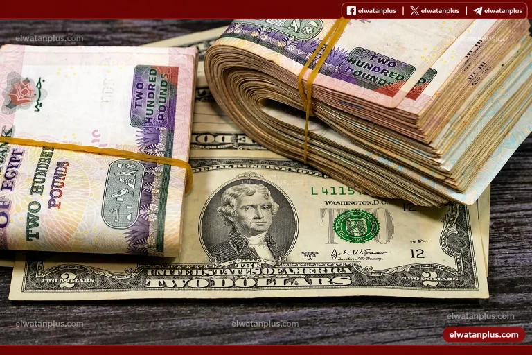 سعر الدولار في مصر اليوم 30 أبريل 2026 ارتفاع تدريجي بالبنوك الخاصة واستقرار نسبي بالحكومية