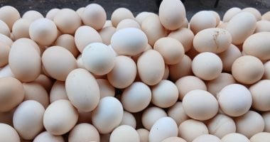 سعر طبق البيض بالقليوبية اليوم الأربعاء 29 – 4 - 2026.. الأبيض بـ100 جنيه