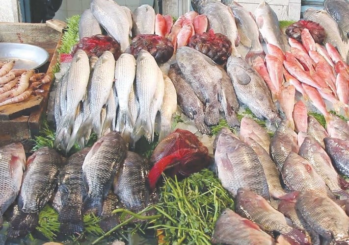 «كاري أون للأسماك» يتعاقد مع موردين محليين لدعم المعروض بأسعار تنافسية