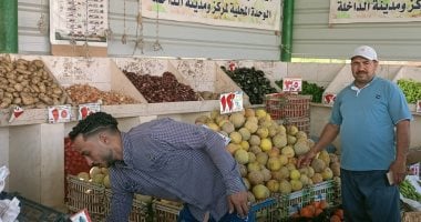 كيلو الطماطم بـ 22,5 جنيه.. أسعار الخضروات والفاكهة بالوادي الجديد اليوم الأربعاء