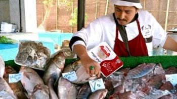 لحمة بلدى بـ360 جنيها والسمك بـ75.. أسعار اللحوم والأسماك بالوادى الجديد اليوم