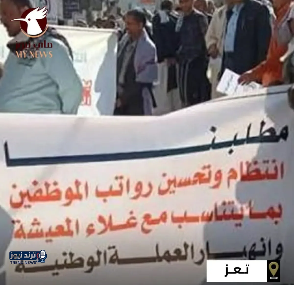 نقابة المعلمين في تعز تطالب بصرف المرتبات المتأخرة وتحسين الأجور