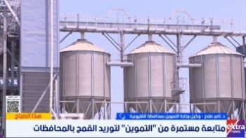 وكيل تموين القليوبية: سعر توريد القمح محفز وصرف المستحقات خلال 48 ساعة