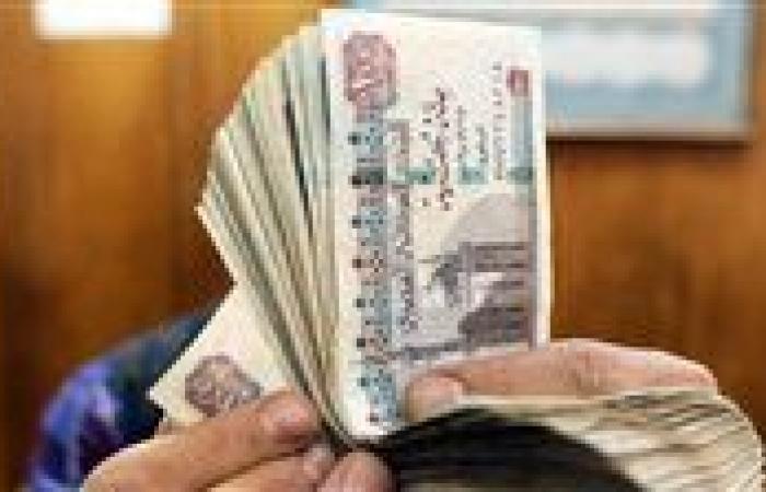 سباق العوائد يشتعل.. أعلى شهادات الادخار في البنوك المصرية
