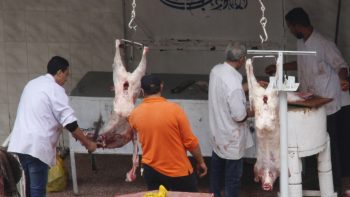 المضيق أم الدولار.. كيف أثر إغلاق هرمز على أسعار الأضاحي في مصر؟ | اقتصاد