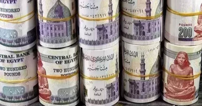 ننشر أعلى عائد على شهادات الادخار لمدة سنة.. كم تربح من استثمار 250 ألف جنيه؟ | بنوك