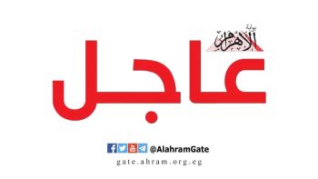 ارتفاع طفيف في أسعار سبائك الذهب اليوم بمصر.. وعيار 24 يسجل 7800 جنيه