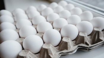 سعر كرتونة البيض للمستهلك اليوم الإثنين 25-5-2026.. وصل كام؟