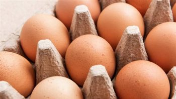 أسعار كرتونة البيض اليوم الخميس 28-5-2026 في بورصة الدواجن وللمستهلك