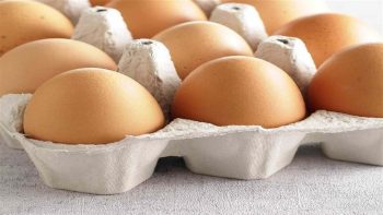 سعر كرتونة البيض في بورصة الدواجن اليوم الخميس 21-5-2026