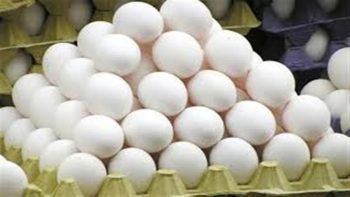 تراجع كبير في أسعار البيض بالمحافظات