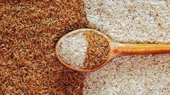 سعر طن الأرز الشعير اليوم الخميس 28 مايو 2026 وأسعار الأرز الأبيض