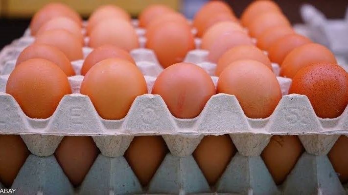 50 جنيها دفعة واحدة.. هبوط قوى في أسعار البيض الآن| كم سعر الكرتونة؟